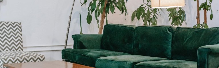 Udobna dnevna soba z zelenim kavčem