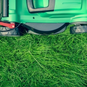 zelena kosilnica na travi
