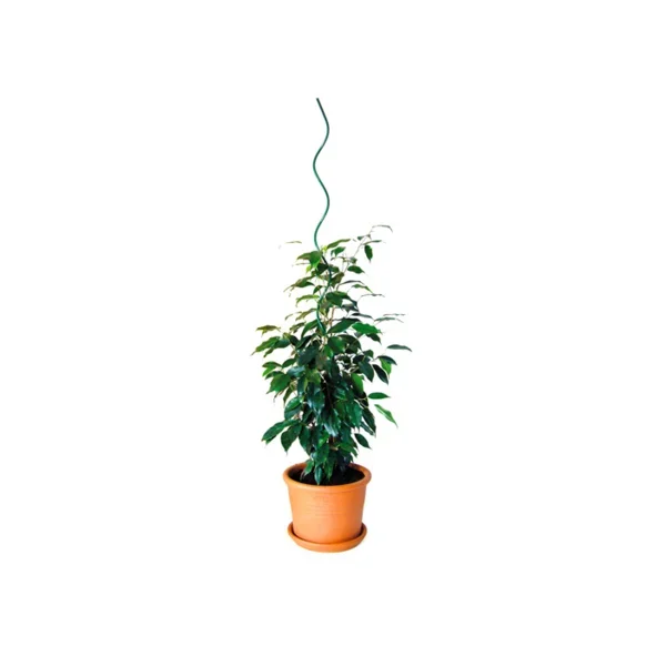 OPORA ZA RASTLINE SPIRALNA ZELENA 170cm fi8mm
